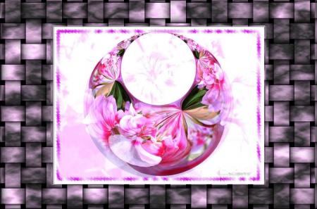 La m�moire des fleurs